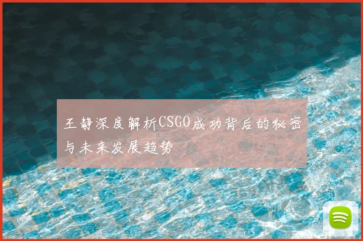 王静深度解析CSGO成功背后的秘密与未来发展趋势