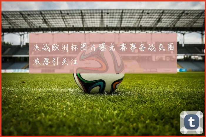 决战欧洲杯图片曝光 赛事备战氛围浓厚引关注
