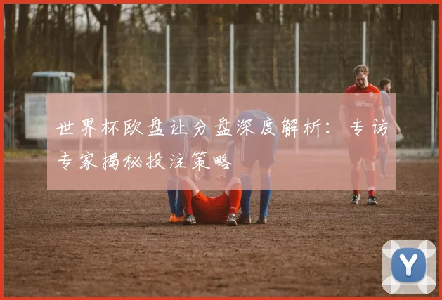 世界杯欧盘让分盘深度解析：专访专家揭秘投注策略