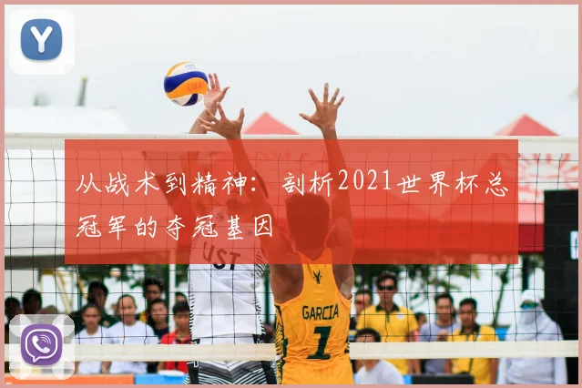 从战术到精神：剖析2021世界杯总冠军的夺冠基因