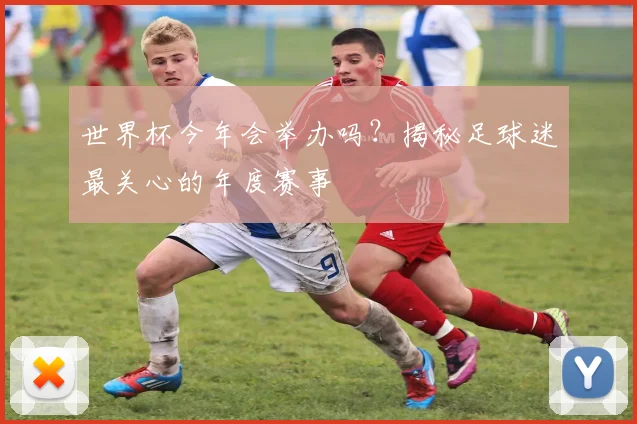 世界杯今年会举办吗？揭秘足球迷最关心的年度赛事