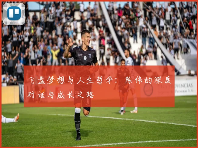 飞盘梦想与人生哲学：陈伟的深度对话与成长之路
