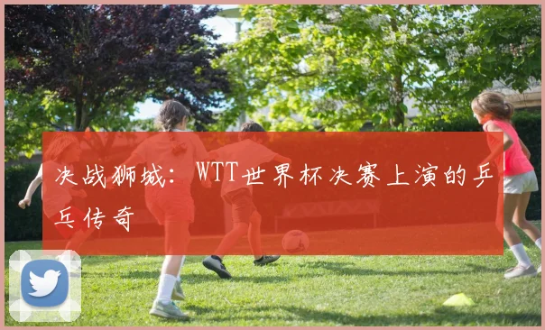 决战狮城：WTT世界杯决赛上演的乒乓传奇