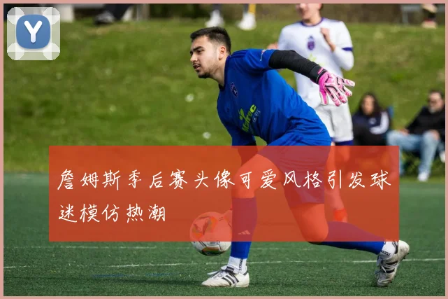 詹姆斯季后赛头像可爱风格引发球迷模仿热潮