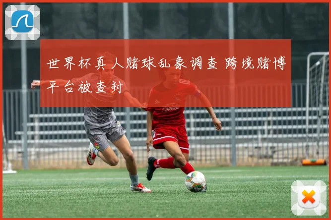 世界杯真人赌球乱象调查 跨境赌博平台被查封