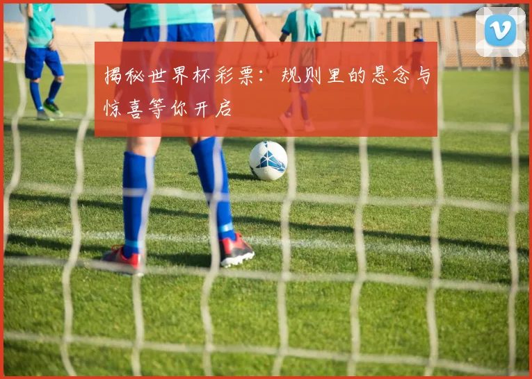 揭秘世界杯彩票：规则里的悬念与惊喜等你开启