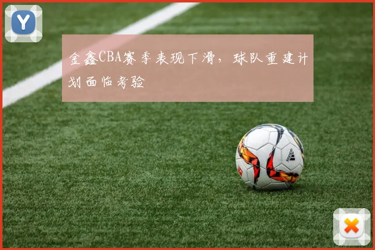 金鑫CBA赛季表现下滑，球队重建计划面临考验