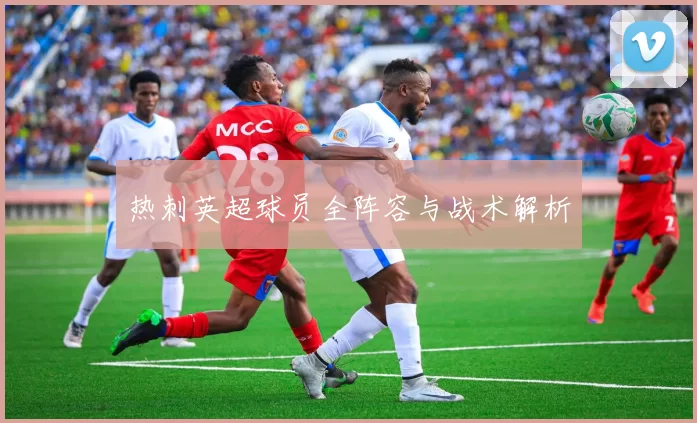 热刺英超球员全阵容与战术解析