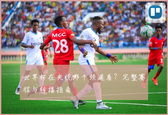 世界杯在央视哪个频道看？完整赛程与转播指南