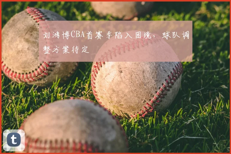 刘鸿博CBA首赛季陷入困境，球队调整方案待定