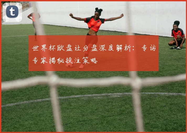 世界杯欧盘让分盘深度解析：专访专家揭秘投注策略