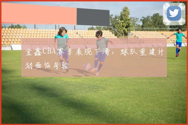金鑫CBA赛季表现下滑，球队重建计划面临考验