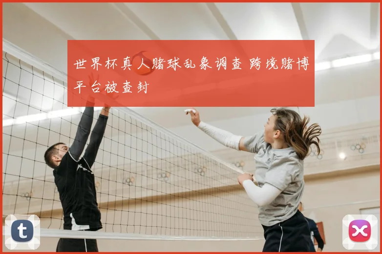 世界杯真人赌球乱象调查 跨境赌博平台被查封