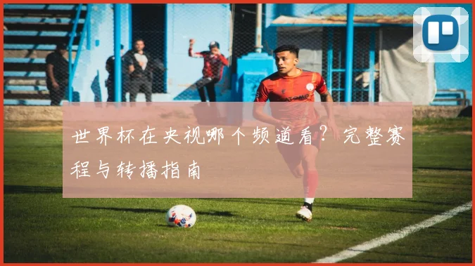 世界杯在央视哪个频道看？完整赛程与转播指南